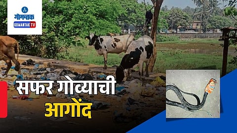 Goa nature garbage problem