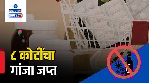 Goa customs hydroponic ganja seizure