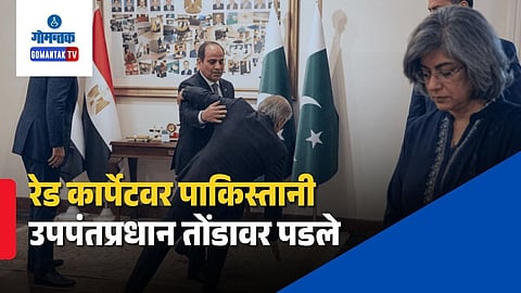 Pakistan Deputy PM Ishaq Dar Fall Video