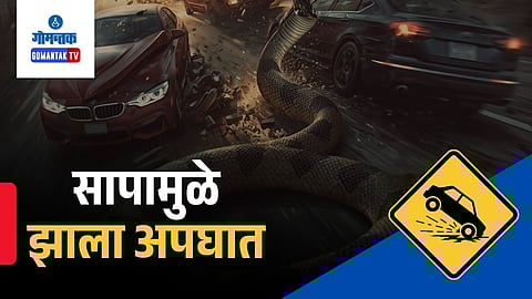 Snake on road incident