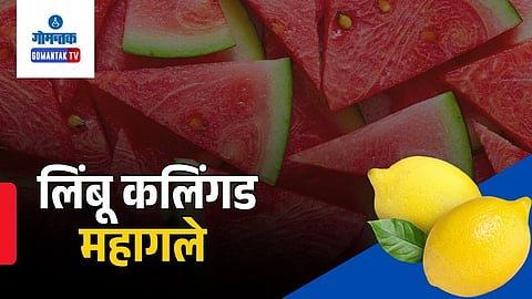 Goa Summer Fruit Price