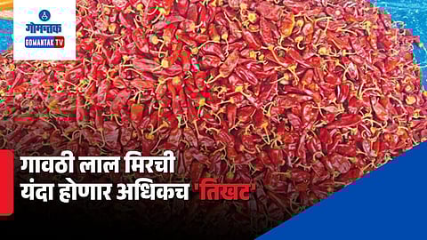 Goa Local Red Chili Prices