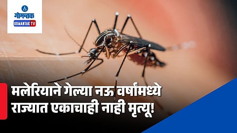 Goa Malaria Cases