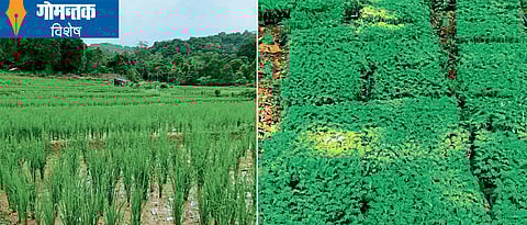 शेतीकडे उद्योग म्हणून पाहण्याचे आवाहन : स्वयंसहाय्य गटांनाही घेतले सामावून