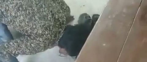 Due to love affair Dalit youth had to commit a disgusting act