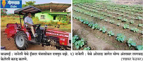 ओसाड जागेत स्वावलंबी आत्मनिर्भरतेचा ‘मंत्र’