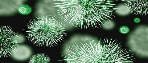 At the global front the total number of global coronavirus cases has crossed 9 crore so far