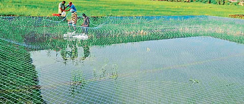 कृषी विज्ञान केंद्राचा मत्स्य पालनासाठी भर