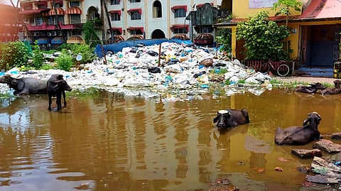 Despite being 'A' class Margao Municipality fails in solid waste management
