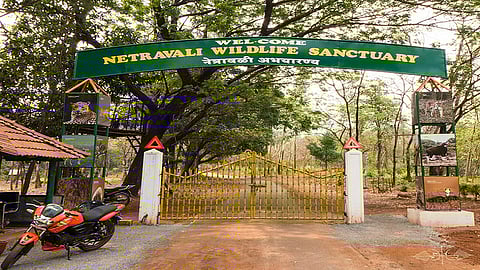 Netravali-Wildlife-Sanctuary