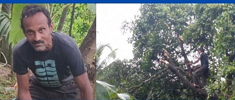 kashinath Parab, Pedne