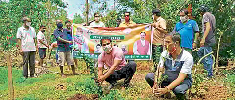 सेवा सप्ताहानिमित्त नेरुलमध्ये वृक्षारोपण