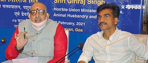दोनापावल : पत्रकार परिषदेत बोलताना केंद्रीय मत्स्योद्योगमंत्री गिरीराज सिंग. बाजूला राज्याचे मत्स्योद्योगमंत्री फिलिप नेरी रॉड्रिग्ज.
