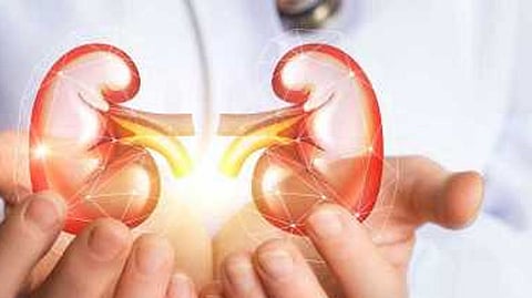 Diabetes can cause damage to your kidneys