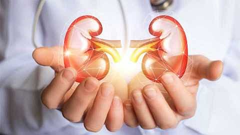 kidney care tips natural remedies for kidney stone know from expert
