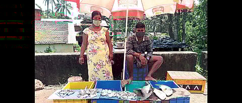 पेडणेत आर्थिक व्यवस्थेस संजीवनी