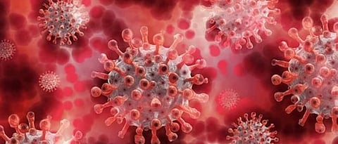 New variant of Corona found in South India 15 times increased risk of death