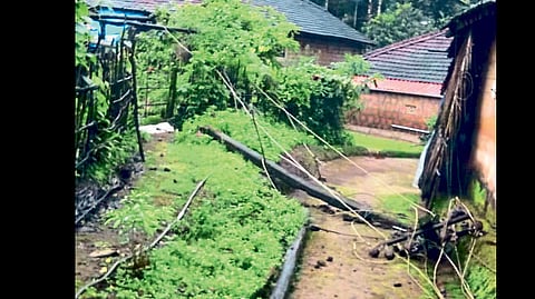 वीजखांब