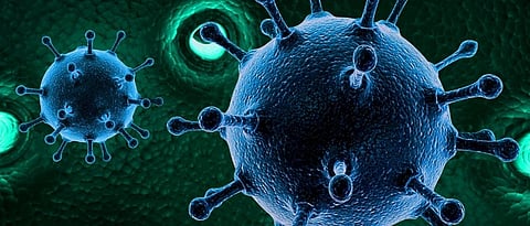 types of corona virus