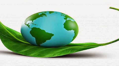 प्रतिकात्मक फोटो