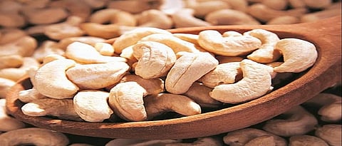 Goa government announces cashew price