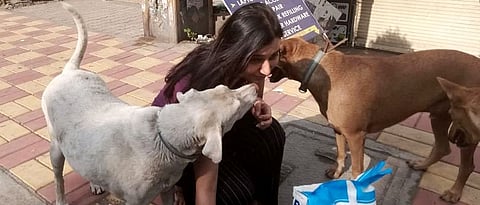 The Supreme Court ordered centre to withdraw or amend provision in the 2017 rule notified by the under The Prevention of Cruelty to Animals Act