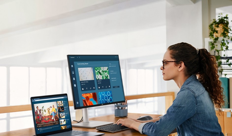 Dell 24 Plus Monitor series.