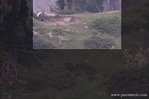 Here is why Pakistan raised white flag on Saturday