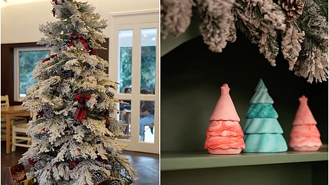 Christmas Events in Dehradun | Live music, delicious food & games at Foresta Winter Carnival!