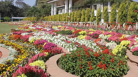 Dehradun gears up for a three-day floral extravaganza, Vasantotsav 2025