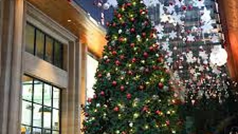 Address One Dehradun’s Christmas Wonderland