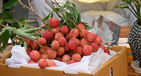 Dehradun Litchis Set for Historic Export to Italy