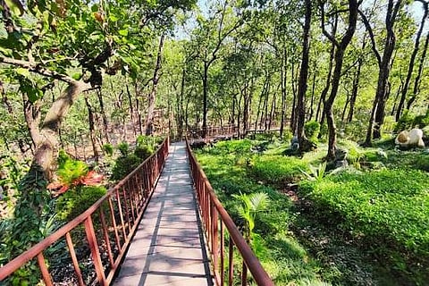 Explore Dehradun's Heritage with Been There Doon That Walks