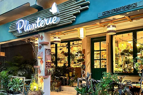 Planterie In Delhi