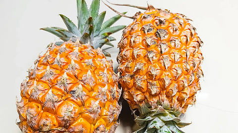 Tripura Global Pineapple Festival 2026