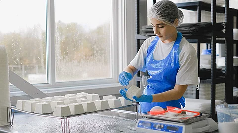 Lady working in the MSME sector
