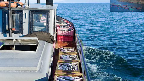 Fisheries data