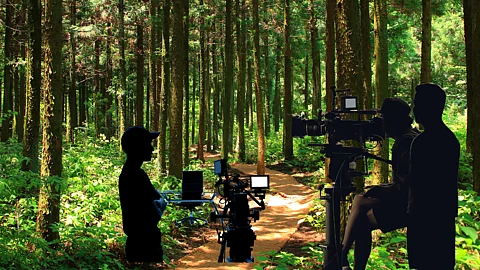 Forest Film Shooting ban