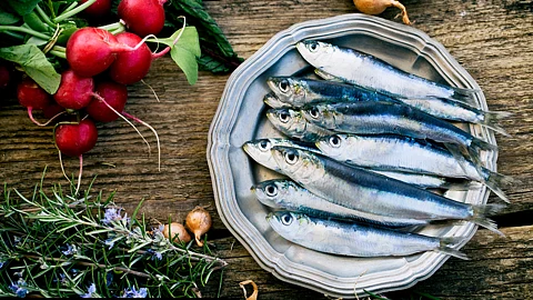 Sardines