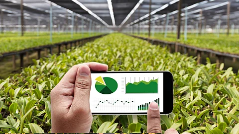 Agripreneurs