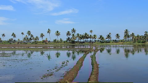 Kuttanad