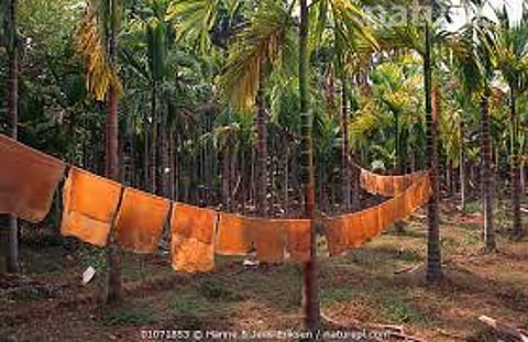 Kerala’s growth deadlock: why radical reform can no longer wait