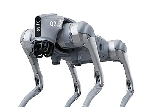 G02 model robot dog made by Chinese firm Unitree.