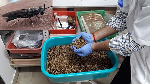 CMFRI says the new technology will address waste reduction and sustainable protein for aquaculture. Image: PIB