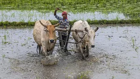 Farm initiatives get a new leg-up (Pic:Mint)
