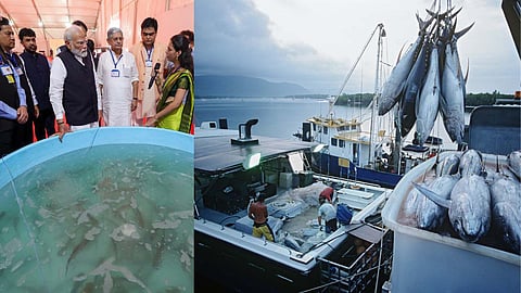 India is the second-largest fish-producing country in the world. Image: PIB/Canva