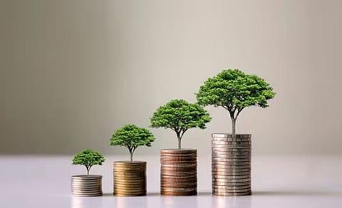 A careful assessment is necessary before investing in an NFO