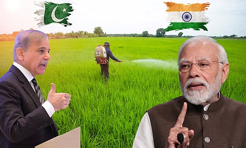 Shehbaz Sharif and narendra modi