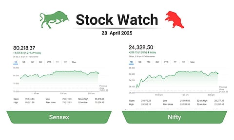 stock market