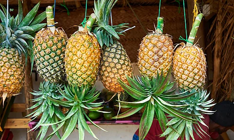 pineapple